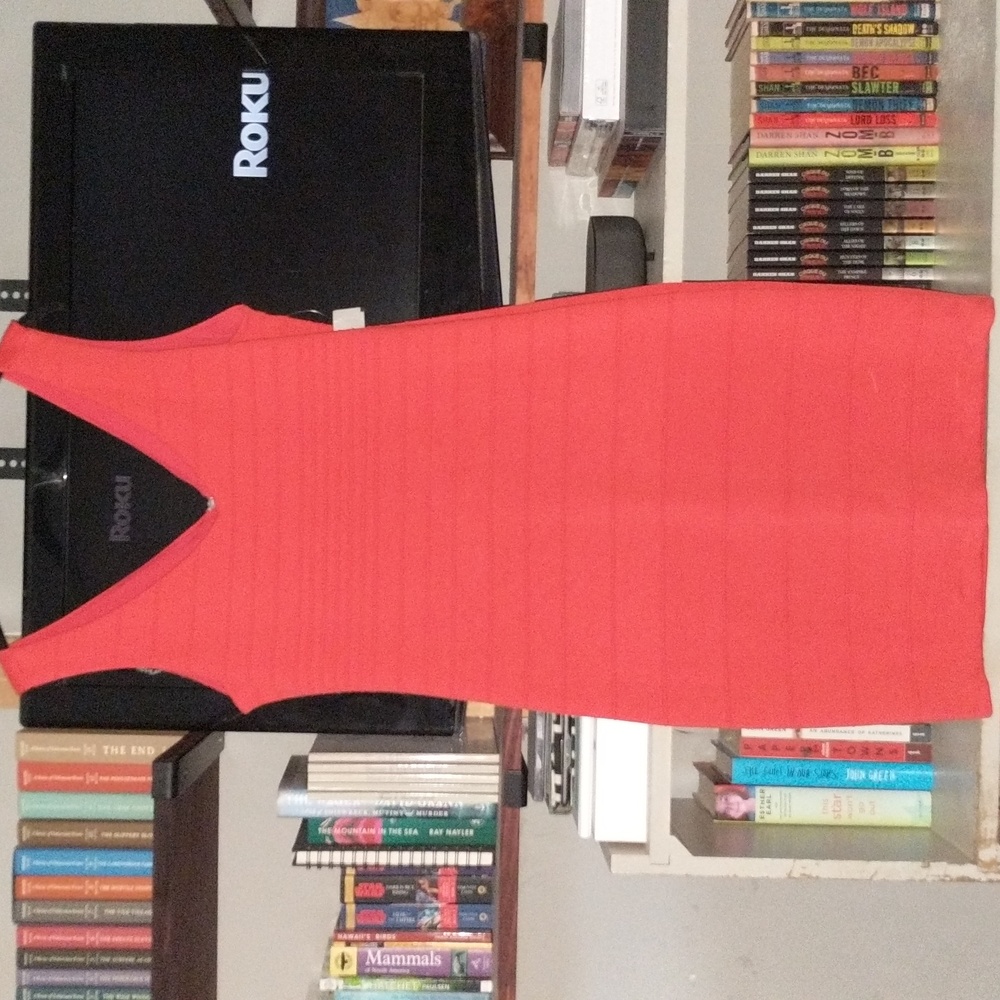 Fitted Dress